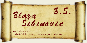 Blaža Sibinović vizit kartica